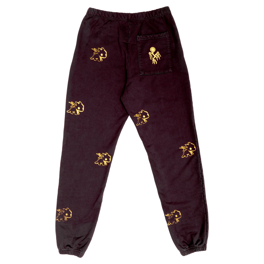 ENTER DRGN SWEAT PANT